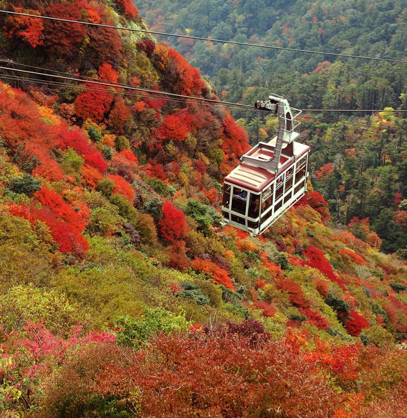 lá đỏ vào mùa thu ở Nagasaki